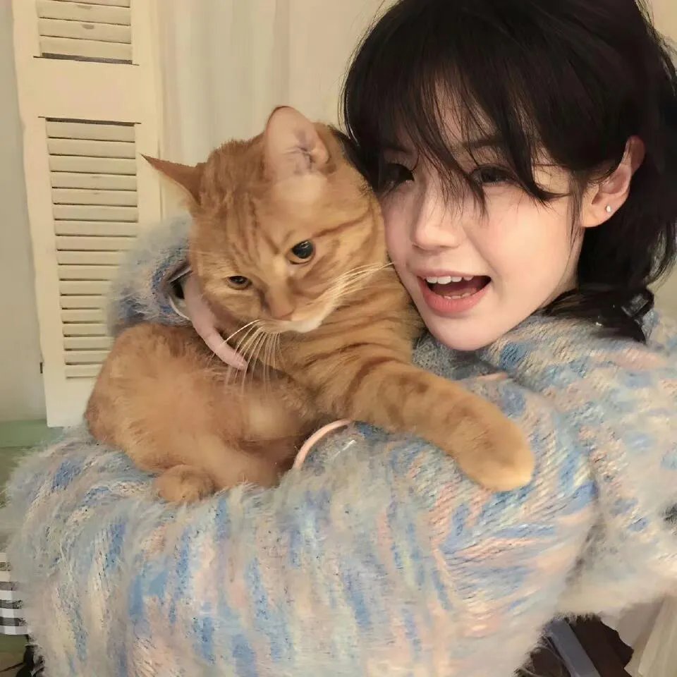 四驱兄弟第三季